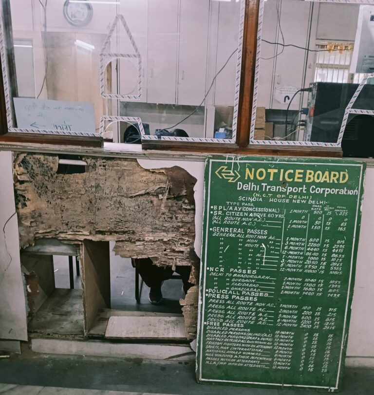 WhatsApp Image 2026-01-29 at 3.04.31 PM