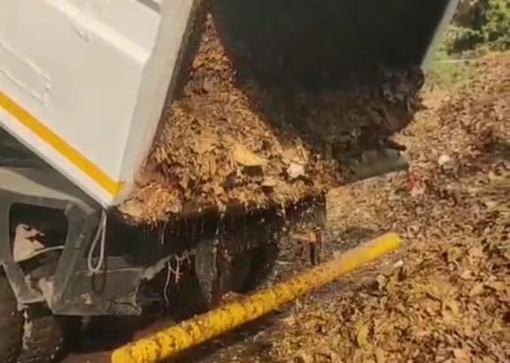 WhatsApp Image 2026-03-09 at 10.06.25 PM