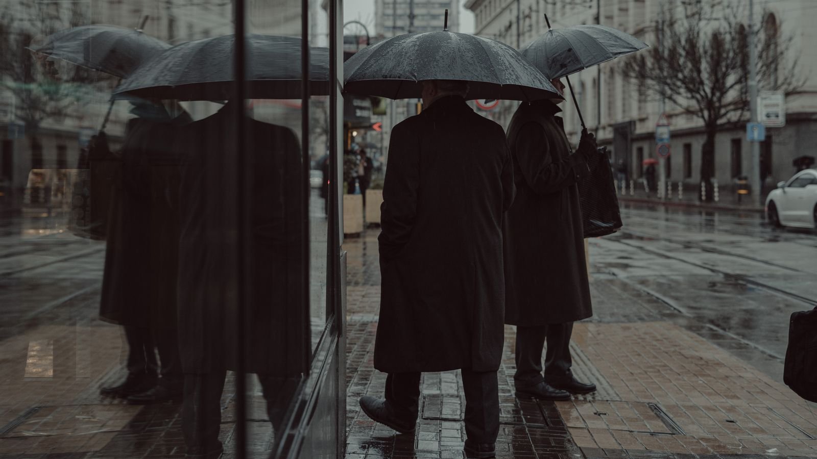 pexels-photo-15174909