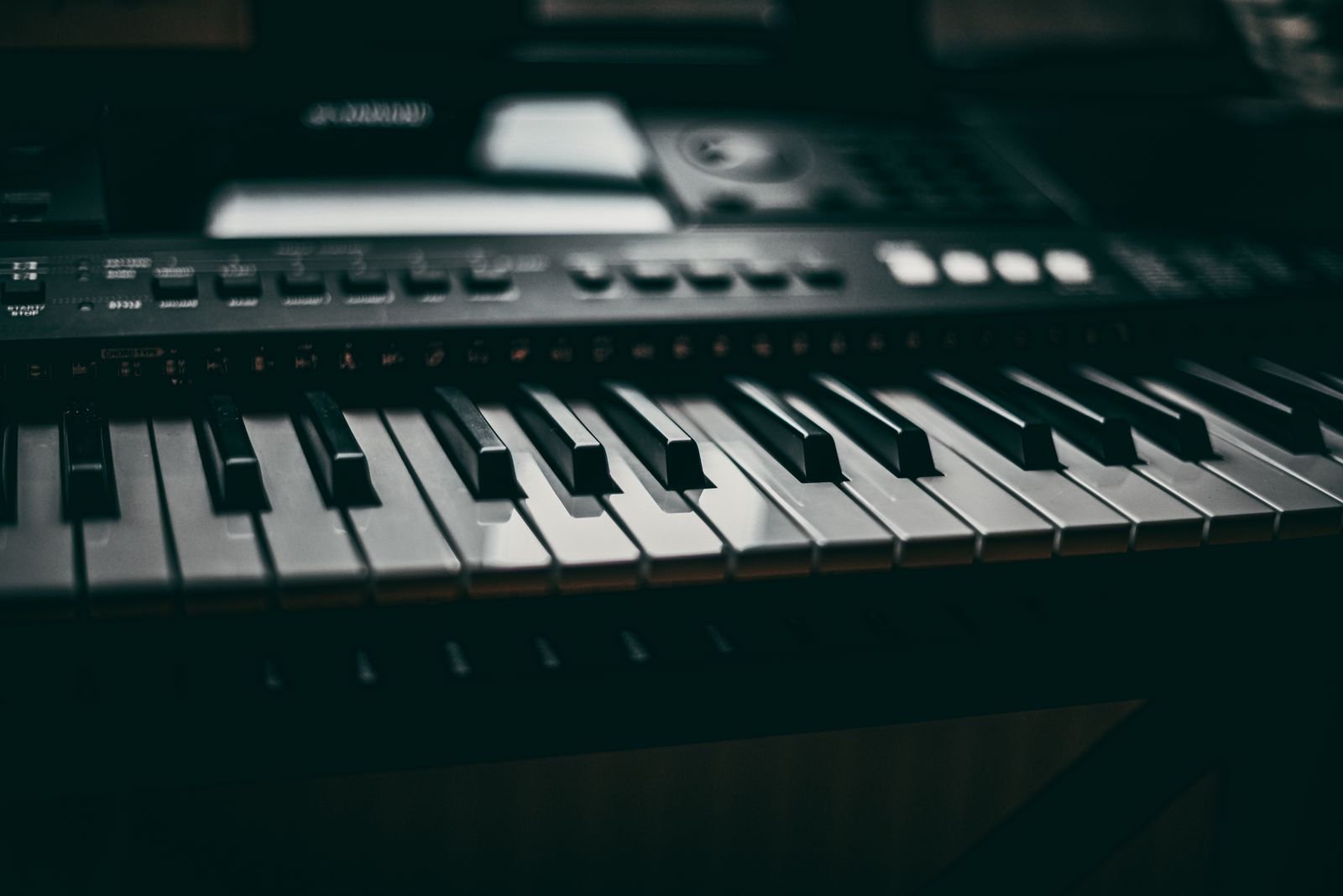 pexels-photo-8722689